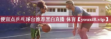 便宜点乒乓球台推荐黑白直播 体育
