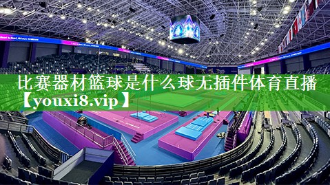 比赛器材篮球是什么球无插件体育直播