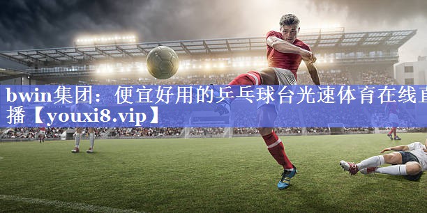 bwin集团：便宜好用的乒乓球台光速体育在线直播