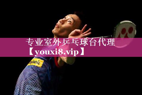专业室外乒乓球台代理