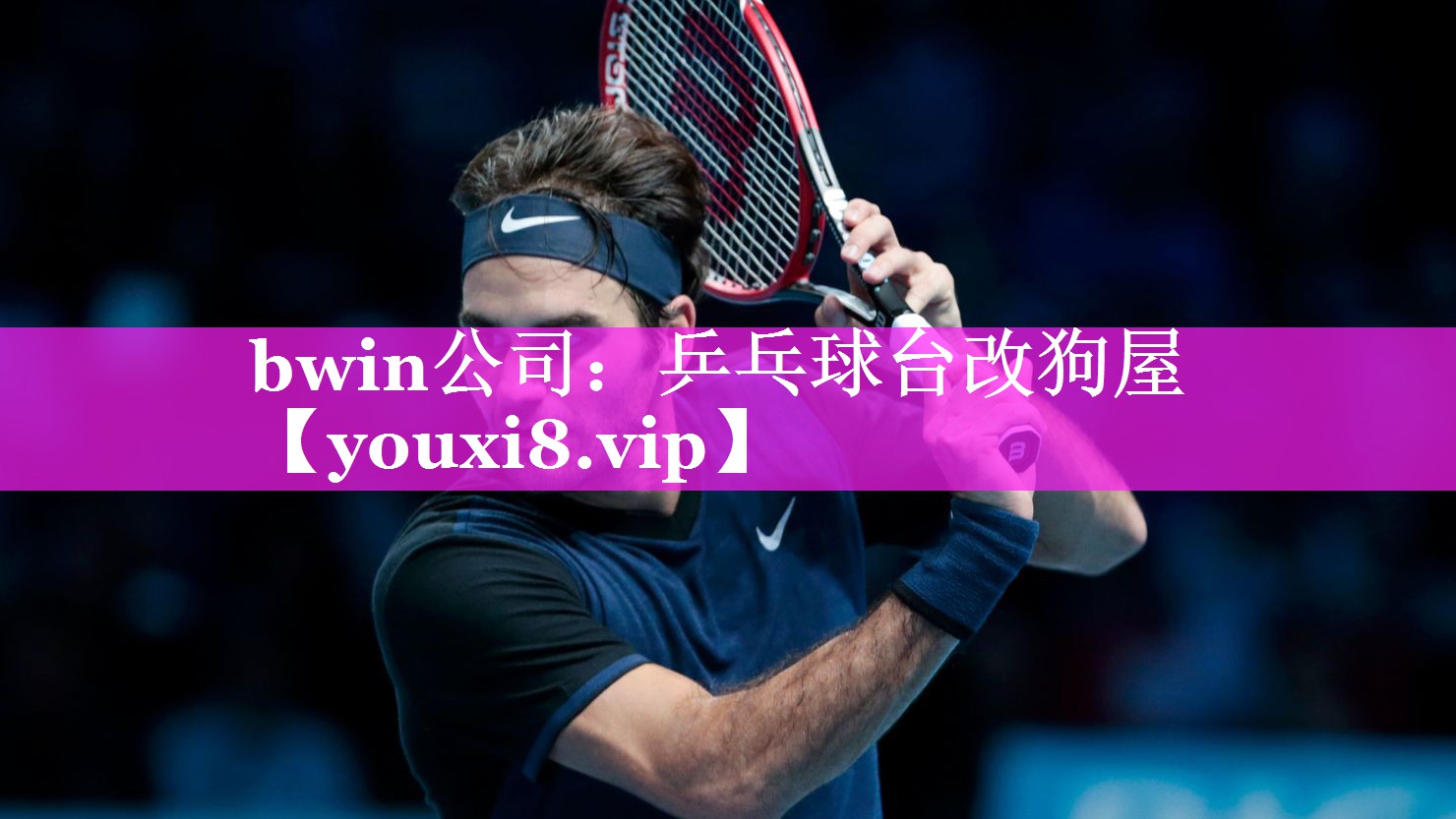 bwin公司：乒乓球台改狗屋