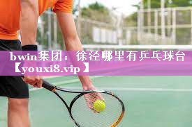 bwin集团：徐泾哪里有乒乓球台