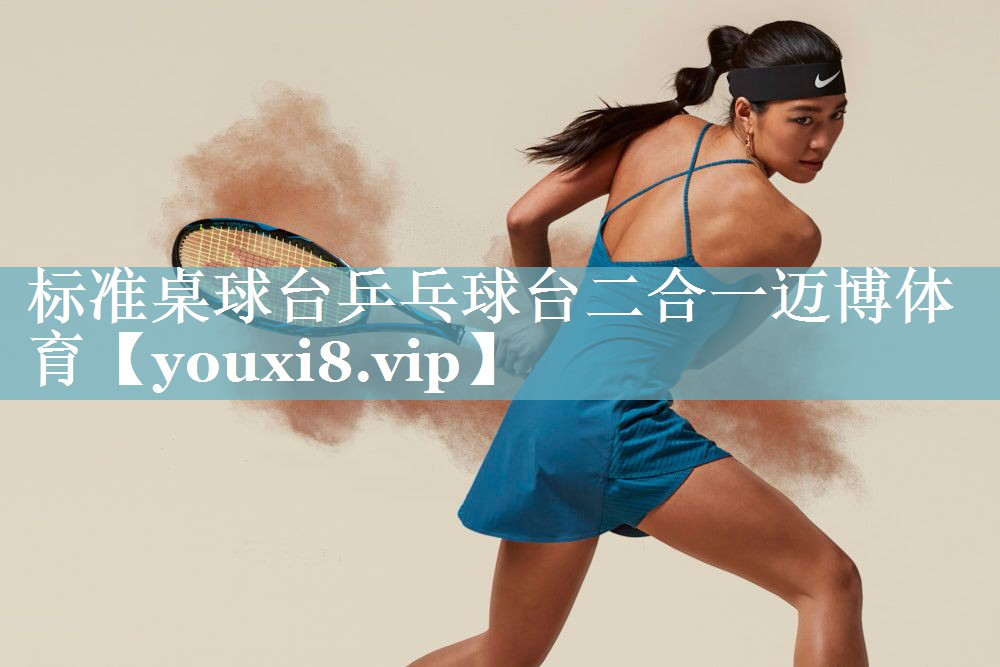 标准桌球台乒乓球台二合一迈博体育