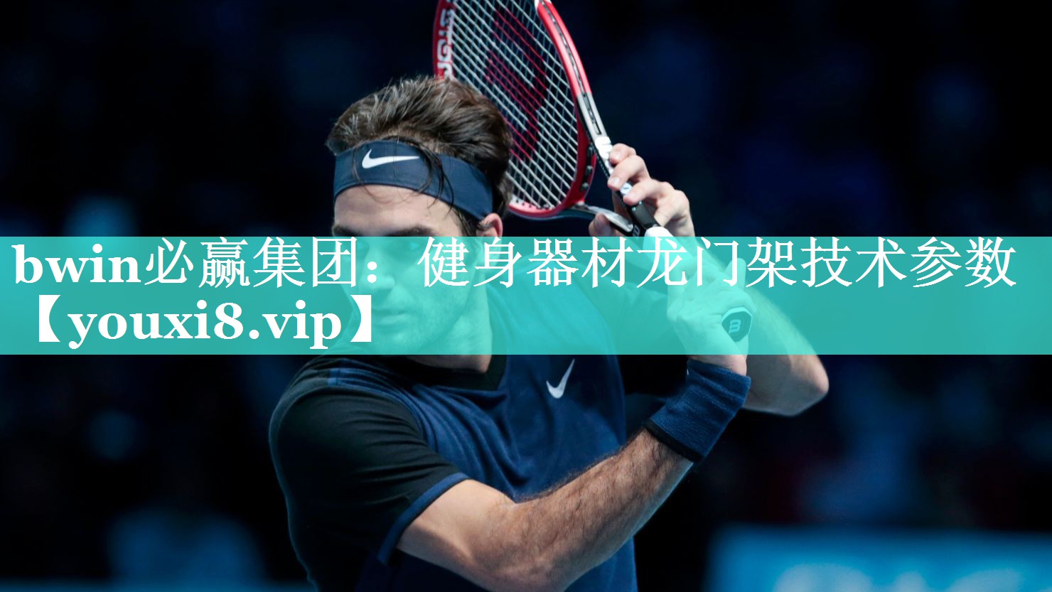 bwin必赢集团：健身器材龙门架技术参数