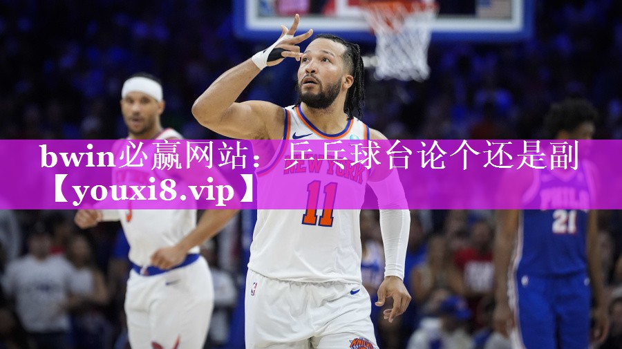 乒乓球台论个还是副