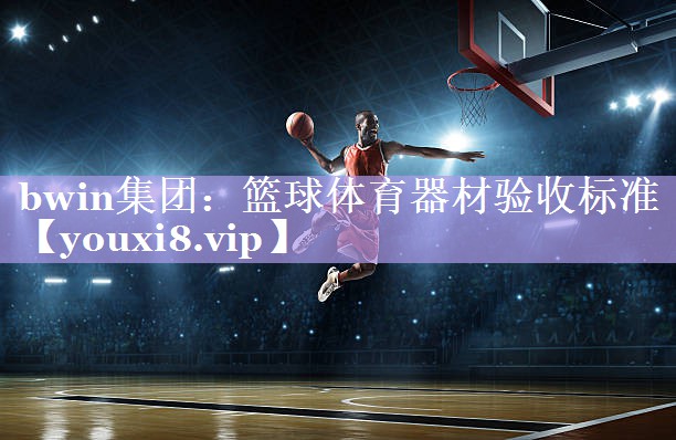 篮球体育器材验收标准