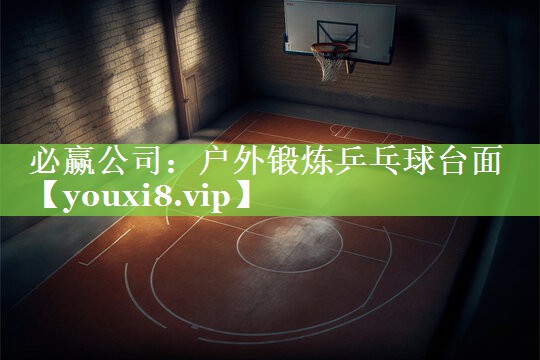 户外锻炼乒乓球台面