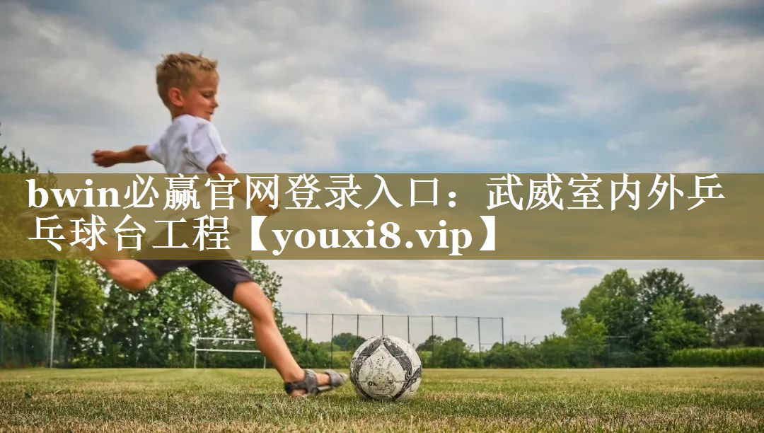 武威室内外乒乓球台工程