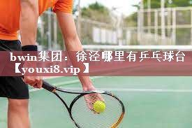 徐泾哪里有乒乓球台