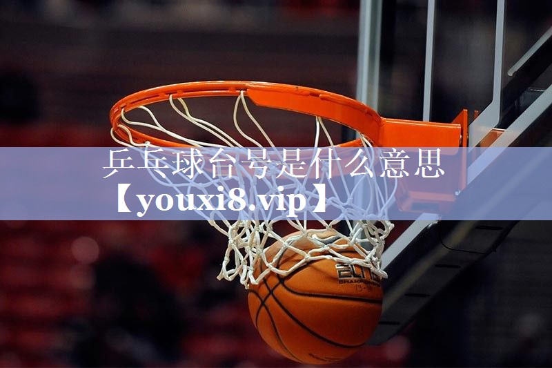 乒乓球台号是什么意思