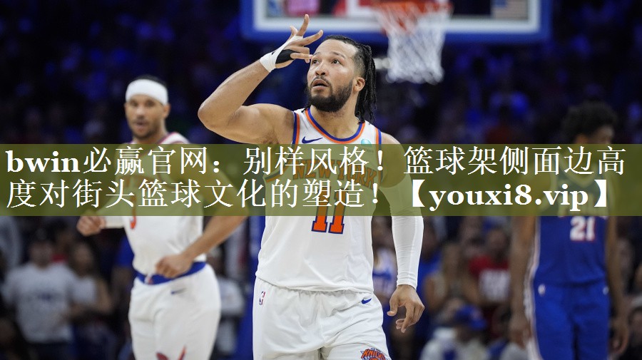 别样风格！篮球架侧面边高度对街头篮球文化的塑造！
