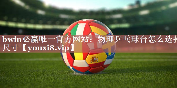 物理乒乓球台怎么选择尺寸